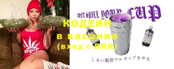 гашик Сатка