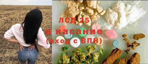 прущие грибы Саяногорск