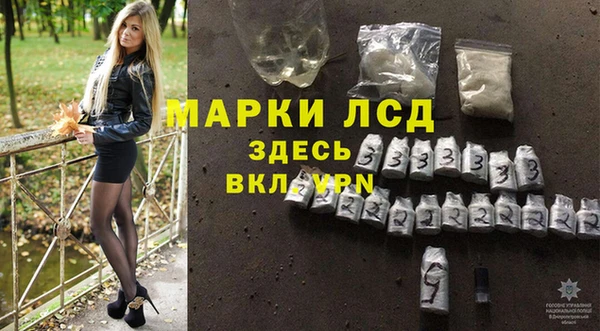прущие грибы Саяногорск