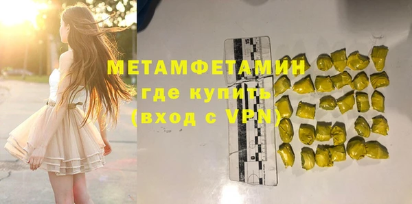 прущие грибы Саяногорск