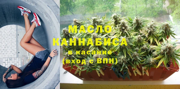прущие грибы Саяногорск
